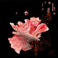 Soniya Amrit Patel - Susurros del alma - 40x40 - Arte digital - Dibondy