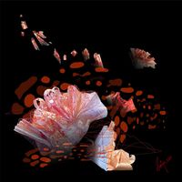 Soniya Amrit Patel - Trazos y ecos - 40x40 - Arte digital - Dibond