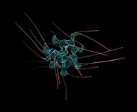 R BRANCH - Nebulosa RV 231-166 - 70x40x30