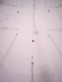 Desmembracion-Intervencion-Accion-Foto (8)