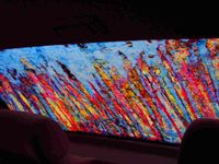 Eva Cunill - Cotxe Perform (5)