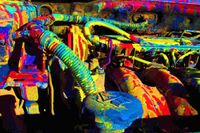 Eva Cunill - Cotxe Perform (8)