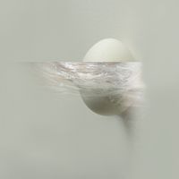 Cuxart - Oeuf en plastique - 40x40 - Fotografia - Papel