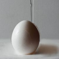 Cuxart - Oeuf et eau - 40x40 - Fotografia - Papel