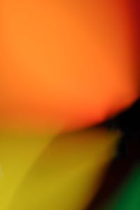 Luis Marin - Tropical Vibes 9 -72x102 - Fotografia - Papel