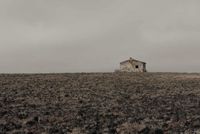 Ybarra - Mirando a romanito 2 - fotografia - 50x70 - Papel