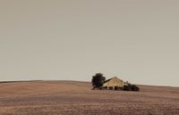 Ybarra - Rodeada -fotografia - 50x70 - Papel