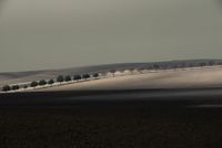 Ybarra - fotografia - 50x70 - Papel (11)