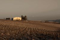 Ybarra - fotografia - 50x70 - Papel (3)