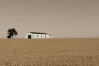 Ybarra -Listo para recoger - fotografia - 50x70 - Papel