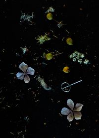 Yin Bunker - Universo - 50x70 - Fotogrfia - Papel (11)