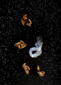 Yin Bunker - Universo - 50x70 - Fotogrfia - Papel (12)