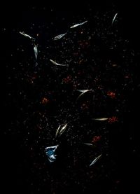 Yin Bunker - Universo - 50x70 - Fotogrfia - Papel (8)